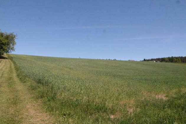 land- und forstwirtschaftlich genutztes Grundstück in Maxhütte-Haidhof - Bild 3