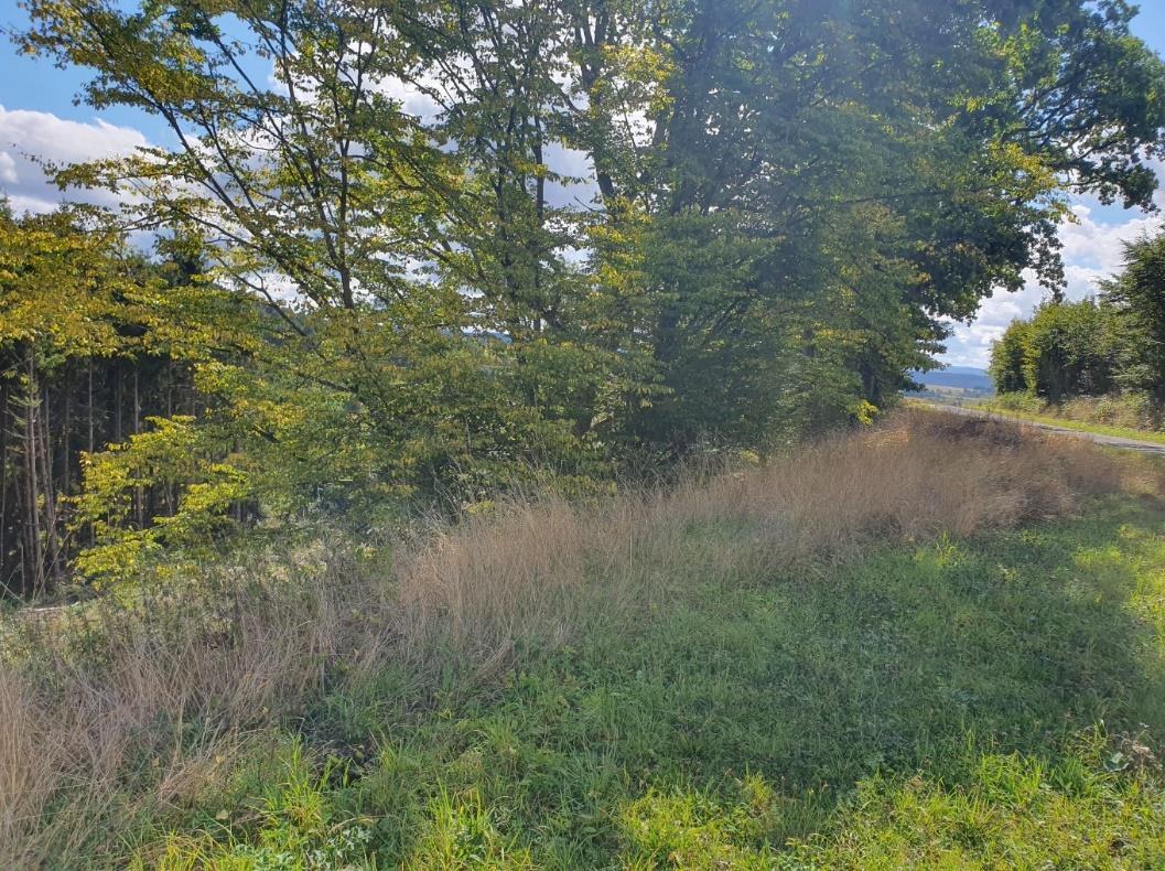 land- und forstwirtschaftlich genutztes Grundstück in Blankenheim - Bild 1