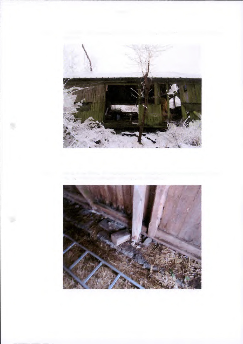 land- und forstwirtschaftlich genutztes Grundstück in Saxler - Bild 3