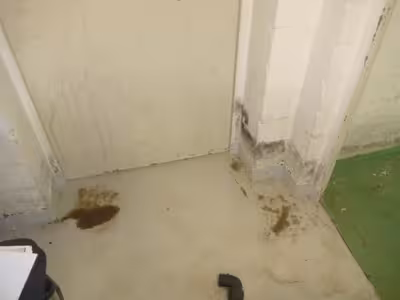 Kfz-Stellplatz, Einfamilienhaus in Starenweg 1 a, 32457 Porta Westfalica, Möllbergen - Bild 5