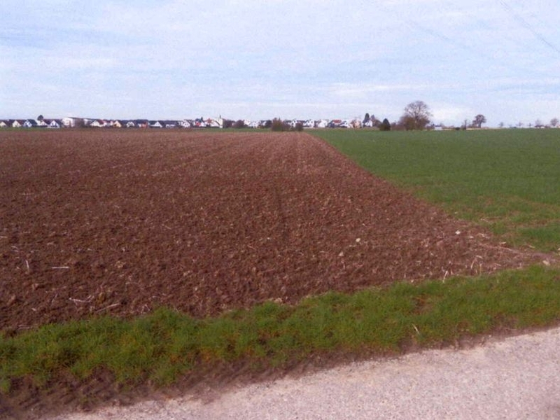 Landwirtschaftsflächen in Ludwigsburg - Bild 2