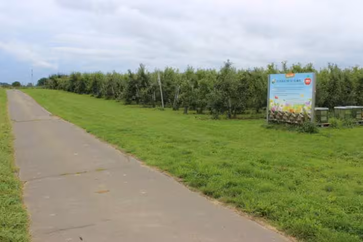 land- und forstwirtschaftlich genutztes Grundstück, 1/2 Anteil, unbebautes Grundstück, land- und forstwirtschaftlich genutztes Grundstück in Wachtberg - Bild 1