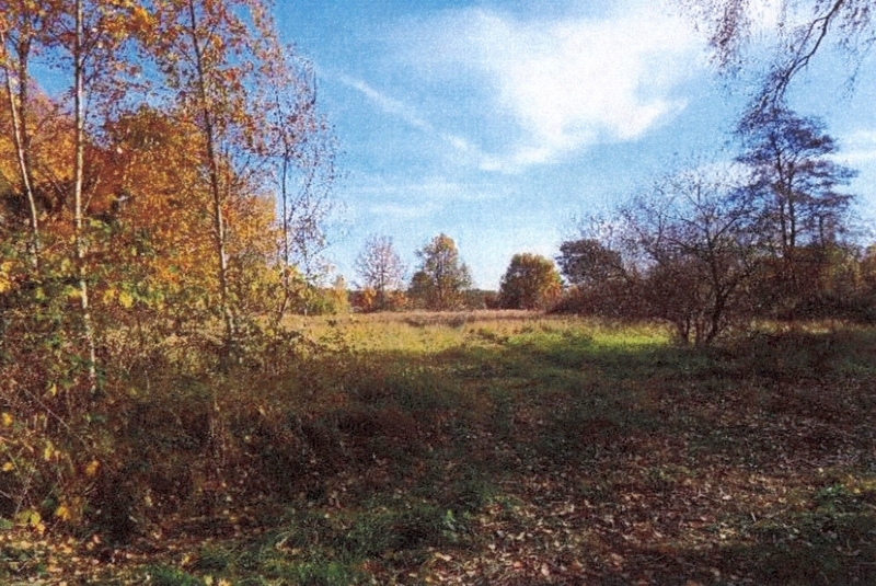 Zwei Grundstücke (Gewässer-/Gehölz- und Grünlandflächen) in Möser - Bild 2