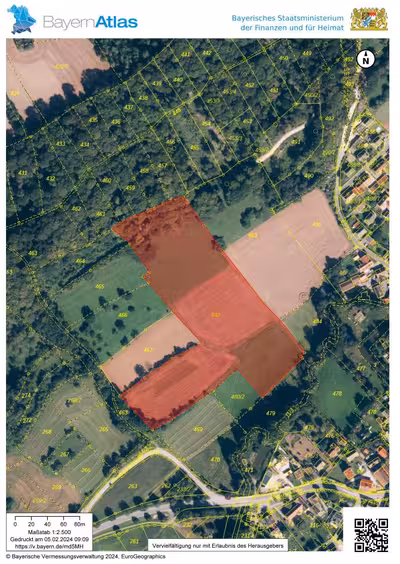 unbebautes Grundstück, land- und forstwirtschaftlich genutztes Grundstück in Mühlleite, 91245 Simmelsdorf, Diepoltsdorf - Bild 2