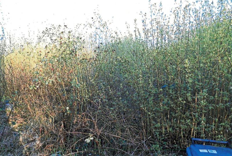 Dreifamilienhaus mit Garage in Affaltrach - Bild 3