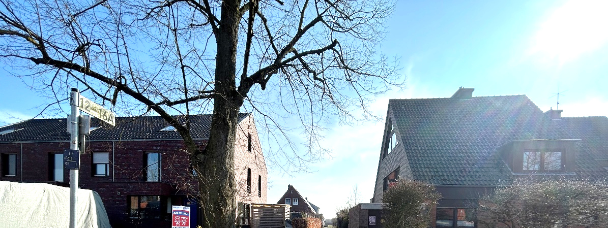 unbebautes Grundstück, Baugrundstück in Münster - Bild 1