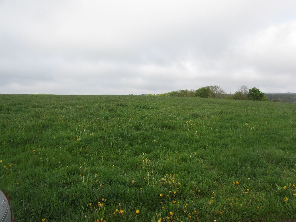 land- und forstwirtschaftlich genutztes Grundstück in Blankenheim - Bild 3