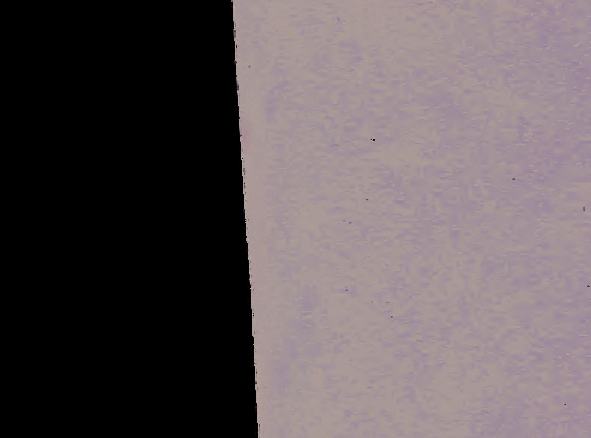 land- und forstwirtschaftlich genutztes Grundstück in Ockstadt - Bild 2