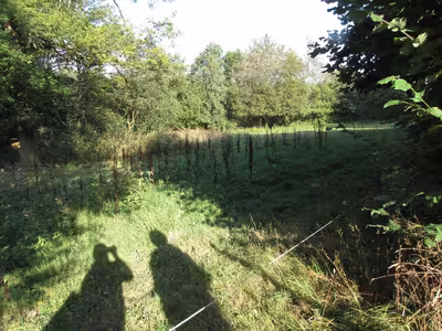 land- und forstwirtschaftlich genutztes Grundstück in Im Kesselsberg, 53343 Wachtberg, Züllighoven - Bild 2