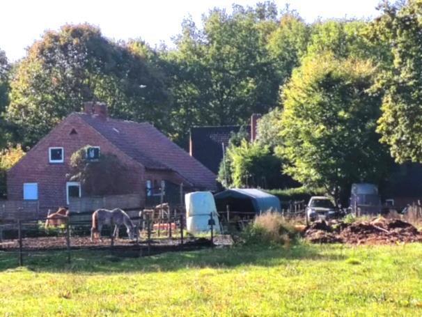 Sonstiges in Aschendorf - Bild 2