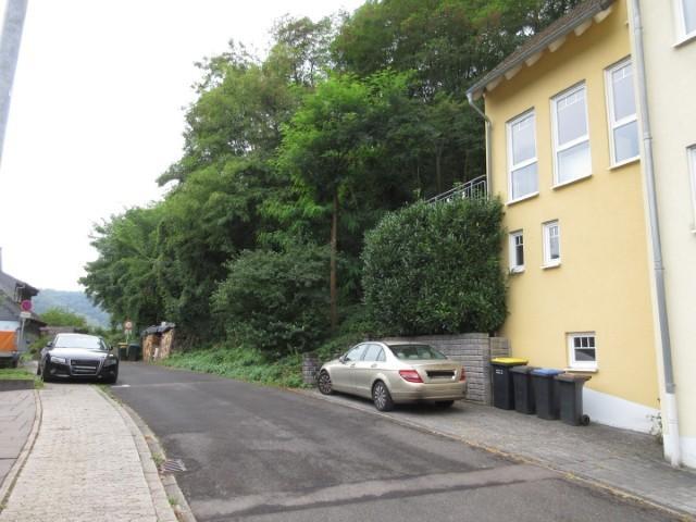 unbebautes und unbefestigtes Hanggelände in Lehmen - Bild 4