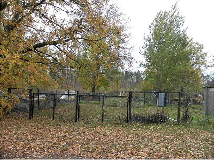 Unbebautes Grünland in Aken (Elbe) - Bild 2