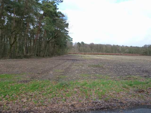 land- und forstwirtschaftlich genutztes Grundstück in Westerkappeln - Bild 1