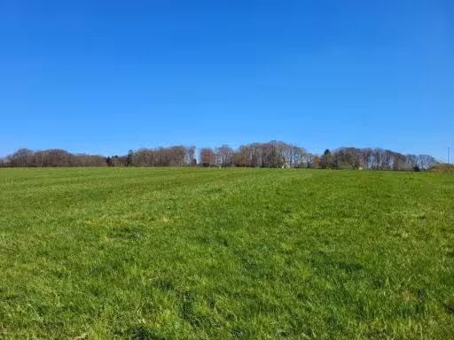 land- und forstwirtschaftlich genutztes Grundstück in Burscheid - Bild 3