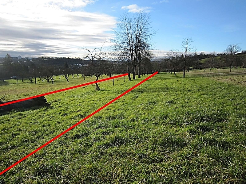 Freizeitgrundstück mit Geschirrhäuschen und Baumwiese in Nürtingen - Bild 2