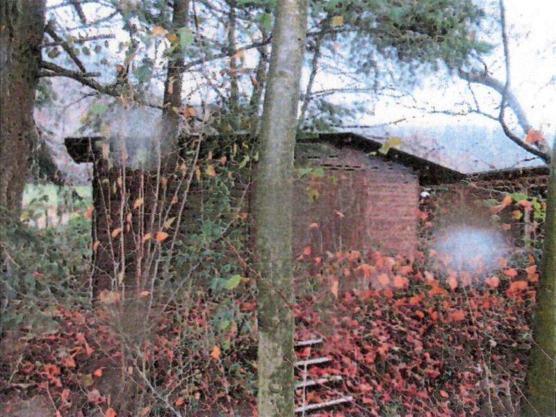 Freizeitgarten, Wald- und Landwirtschaftsfläche in Untergruppenbach - Bild 4