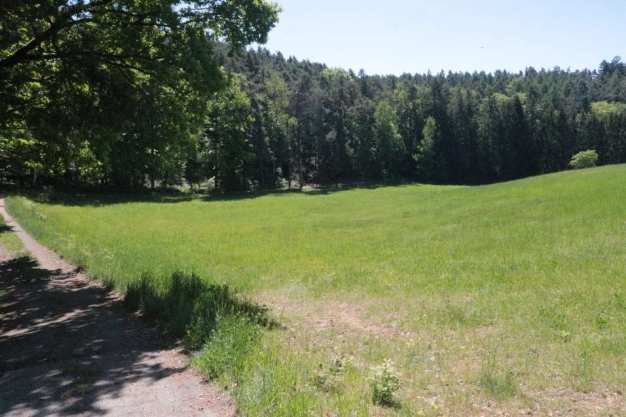 land- und forstwirtschaftlich genutztes Grundstück in Maxhütte-Haidhof - Bild 4