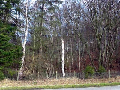 Waldfläche in , 21039 Escheburg - Bild 2