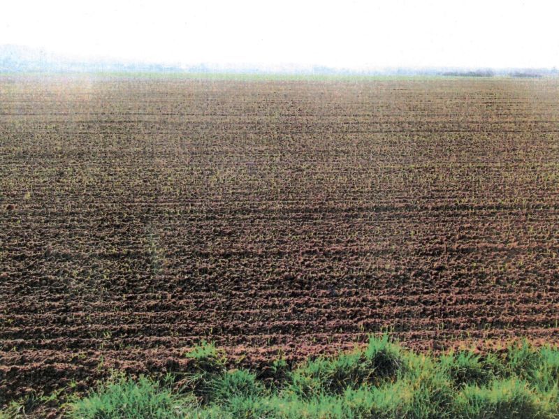 Landwirtschaftsflächen in Neuenstadt - Bild 4