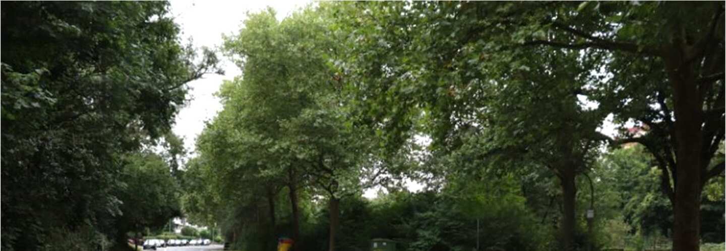 Eigentumswohnung (3 bis 4 Zimmer) in Dortmund - Bild 4