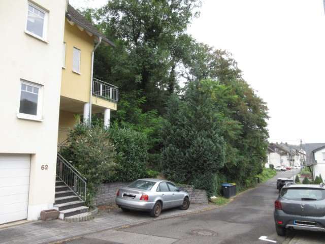 unbebautes und unbefestigtes Hanggelände in Lehmen - Bild 3