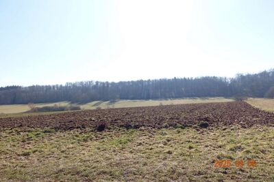 Landwirtschaftsfläche in , 71032 Böblingen - Bild 1