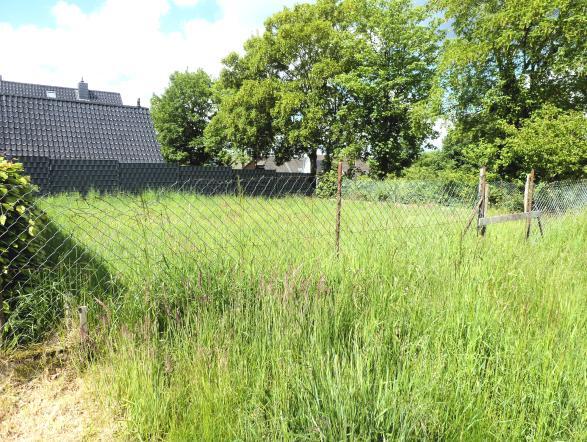 Ein- bis Zweifamilienhaus, Garten in Niederkrüchten - Bild 2