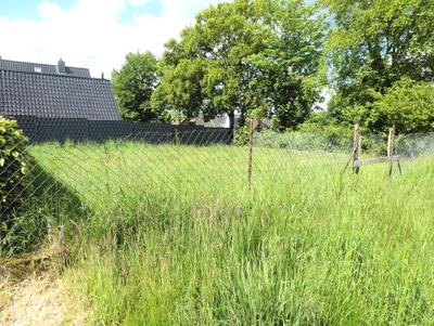 Ein- bis Zweifamilienhaus, Garten in Wilhelm-Brester-Straße 9, 41372 Niederkrüchten, Niederkrüchten-Dam - Bild 2