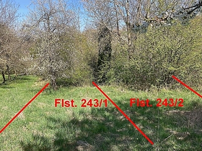 Ungepflegte Baumwiesen in Pfaffentobel, 72664 Kohlberg - Bild 1