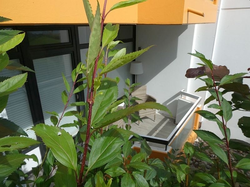 2-Zimmer-Wohnung in Scharbeutz - Bild 3