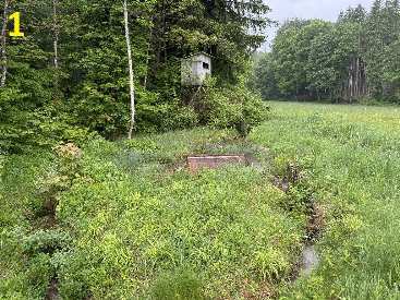 Grünland in Bingen am Rhein - Bild 3