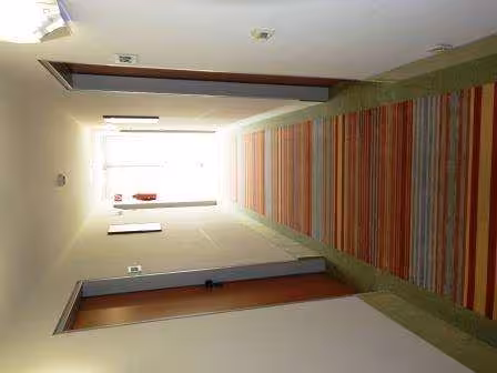 Sonstiges in Dresden - Bild 3