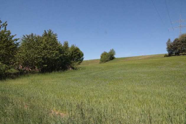 Waldfläche, Gebäude- und Freifläche, Landwirtschaftsfläche in Maxhütte-Haidhof - Bild 2