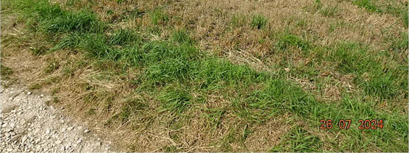 land- und forstwirtschaftlich genutztes Grundstück in null - Bild 2