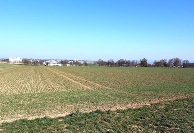 Ackerland in Hülbe (Nähe Sillenbucher Straße), 73760 Ostfildern - Bild 1