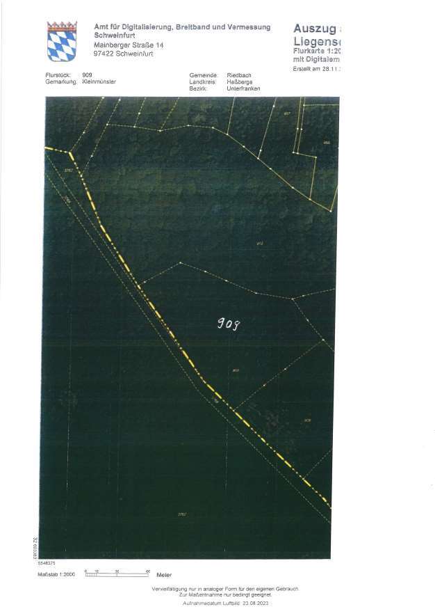 Waldfläche in Geisenfeld - Bild 1