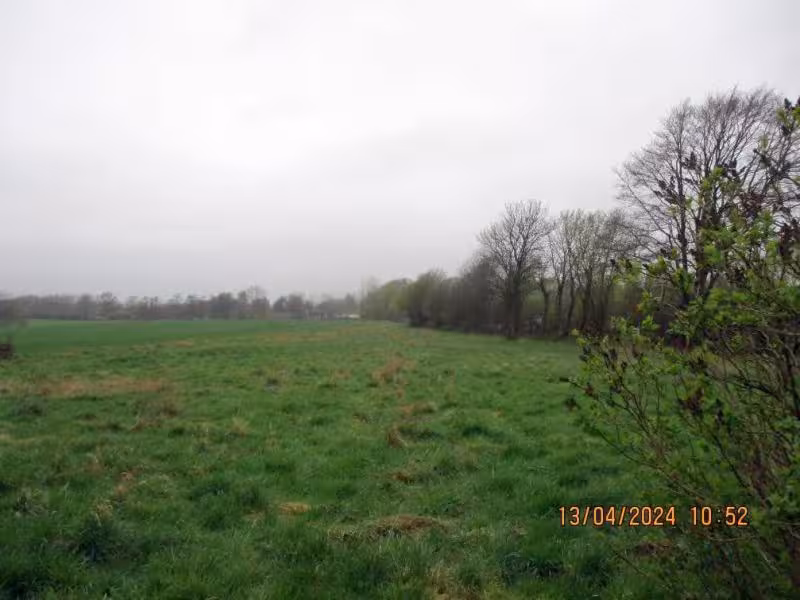 Einfamilienhaus nebst Anbau und Carport in Havetoft - Bild 3