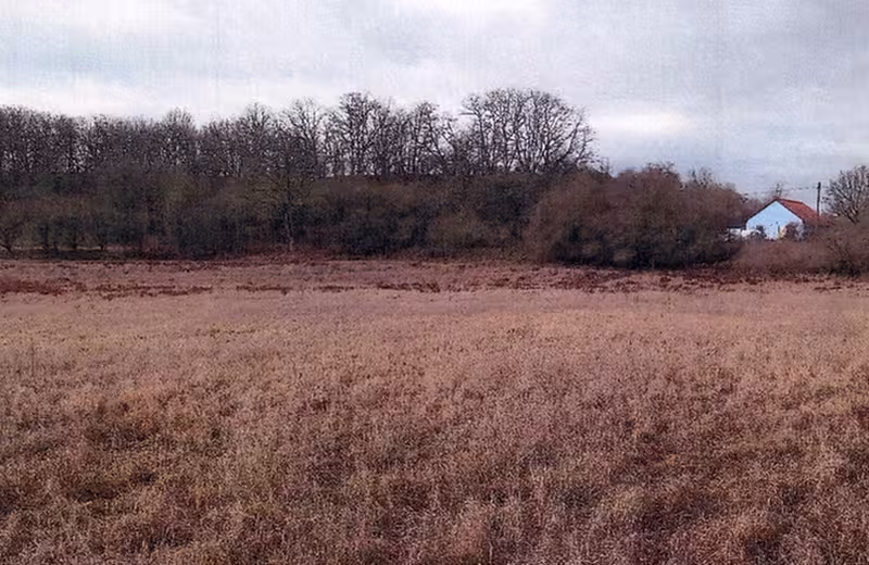 Ackerflächen in Lebus - Bild 1