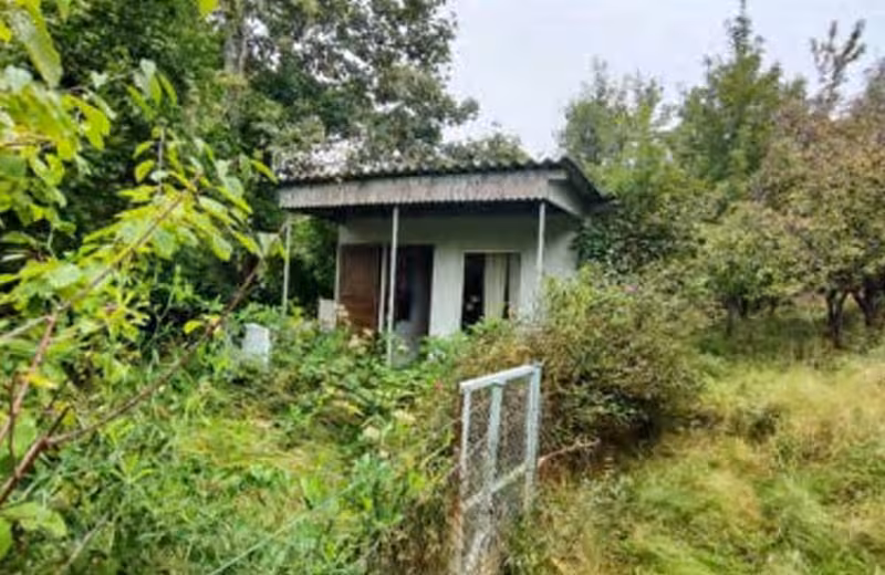 Landwirtschaftsflächen und Grundstücke in Sagard - Bild 4