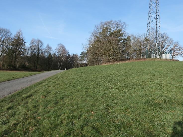 land- und forstwirtschaftlich genutztes Grundstück, Grünland in Wrexen - Bild 3