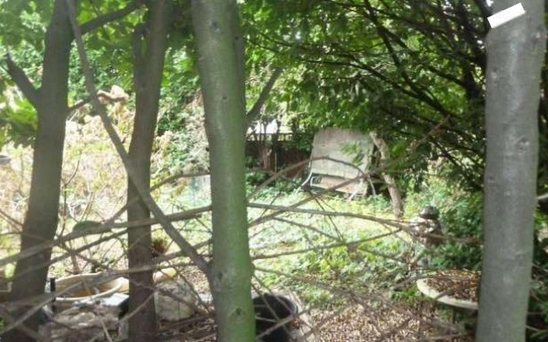 Einfamilienwohnhaus und Garten-/Grünlandfläche in Hamburg - Bild 3