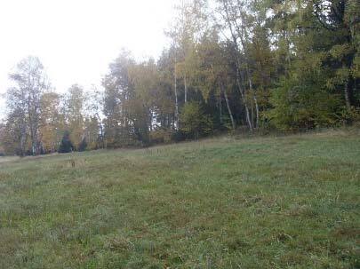 land- und forstwirtschaftlich genutztes Grundstück in Beckingen - Bild 2