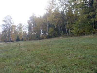 land- und forstwirtschaftlich genutztes Grundstück in keine Angabe , 00000 keine Angabe - Bild 2