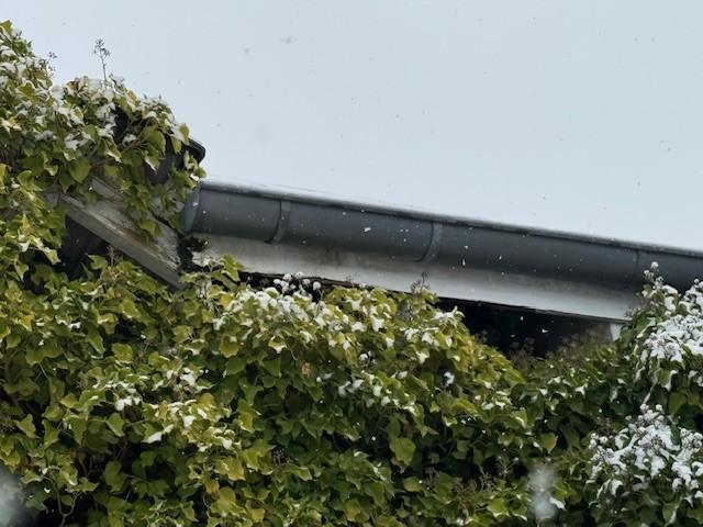 Kfz-Stellplatz, Garage, Eigentumswohnung (3 bis 4 Zimmer) 2 Stck. in Bremen - Bild 4