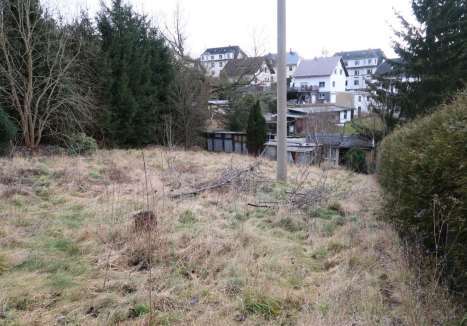 Sonstiges in Greiz - Bild 1
