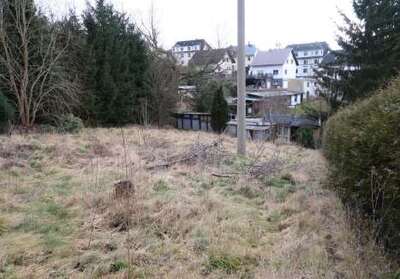 Sonstiges in Am Pfaffensteig, 07973 Greiz - Bild 1