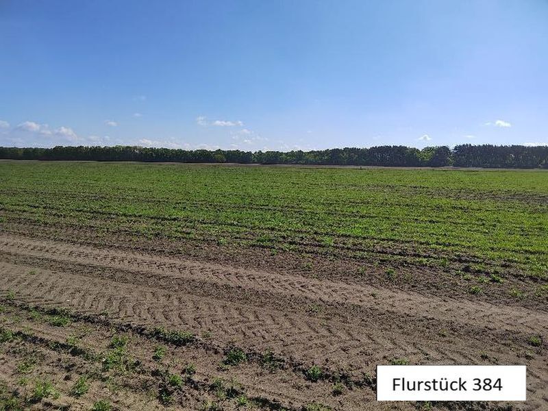 Einfamilienhaus mit 2 Nebengebäuden und Ackerland in Kuhstorf - Bild 3