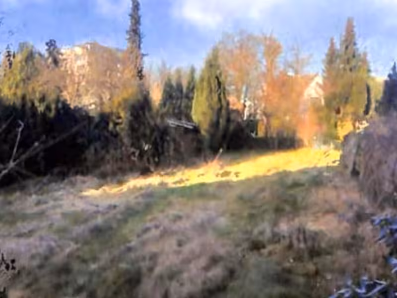 Einfamilienhaus in Hamburg - Bild 3