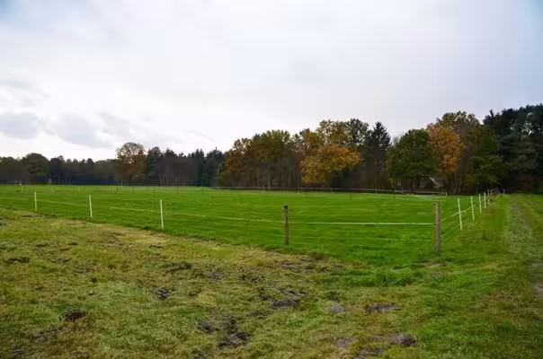 land- und forstwirtschaftlich genutztes Grundstück in Gnarrenburg - Bild 4
