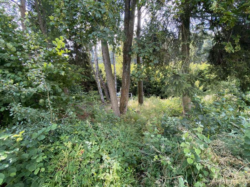 unbebautes Grundstück, Einfamilienhaus in Affolterbach - Bild 4